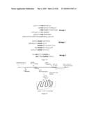 Polypeptide Display Libraries and Methods of Making and Using Thereof diagram and image