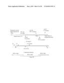 Polypeptide Display Libraries and Methods of Making and Using Thereof diagram and image