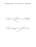 Polypeptide Display Libraries and Methods of Making and Using Thereof diagram and image