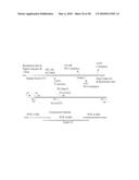 Polypeptide Display Libraries and Methods of Making and Using Thereof diagram and image