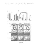 METHODS FOR CONTROLLING MINERALIZATION OF EXTRACELLULAR MATRIX, THERAPEUTIC METHODS BASED THEREON AND MEDICAMENTS FOR USE THEREIN diagram and image