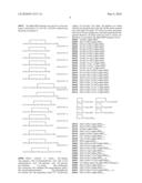 METHOD FOR REDUCING INCIDENCE OR RATE OF DEVELOPMENT OF SKIN CANCERS AND RELATED CONDITIONS diagram and image