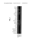 METHODS AND COMPOSITIONS FOR MODULATING PROSTASIN diagram and image