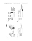 METHODS AND COMPOSITIONS FOR MODULATING PROSTASIN diagram and image