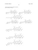 9-Aminomethyl Substituted Minocycline Compounds diagram and image