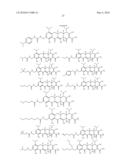 9-Aminomethyl Substituted Minocycline Compounds diagram and image