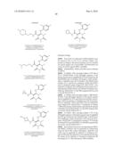 MAPK/ERK Kinase Inhibitors diagram and image