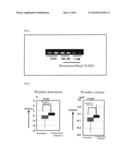 Agent for Preventing and Alleviating Wrinkles diagram and image