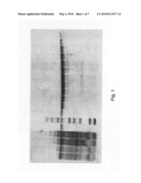 Inhibitors of mycobacterium tuberculosis malate synthase, methods of making and uses thereof diagram and image