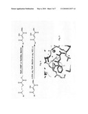 Inhibitors of mycobacterium tuberculosis malate synthase, methods of making and uses thereof diagram and image