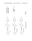 SYNTHESIS OF NOVEL TUBULIN POLYMERIZATION INHIBITORS: BENZOYLPHENYLUREA (BPU) SULFUR ANALOGS diagram and image