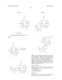 TRIAZOLE DERIVATIVE AS AN HSP 90 INHIBITOR diagram and image