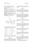 TRIAZOLE DERIVATIVE AS AN HSP 90 INHIBITOR diagram and image