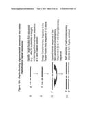 RNA Interference Mediated Inhibition of Interleukin and Interleukin Receptor Gene Expression Using Short Interfering Nucleic Acid (siNA) diagram and image