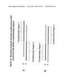 RNA Interference Mediated Inhibition of Interleukin and Interleukin Receptor Gene Expression Using Short Interfering Nucleic Acid (siNA) diagram and image