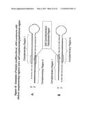 RNA Interference Mediated Inhibition of Interleukin and Interleukin Receptor Gene Expression Using Short Interfering Nucleic Acid (siNA) diagram and image