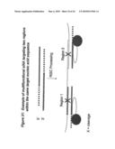 RNA Interference Mediated Inhibition of Interleukin and Interleukin Receptor Gene Expression Using Short Interfering Nucleic Acid (siNA) diagram and image