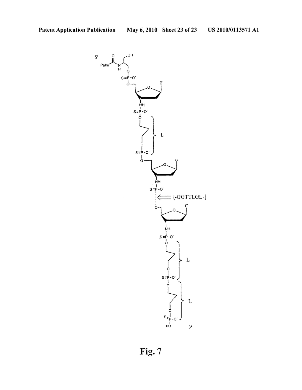 COMPOUNDS HAVING ANTI-ADHESIVE EFFECTS ON CANCER CELLS - diagram, schematic, and image 24