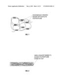 METHODS FOR PREPARING CARBON NANOTUBE/POLYMER COMPOSITES USING FREE RADICAL PRECURSORS diagram and image