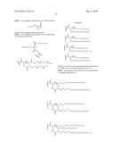 GLYCOPEGYLATED FACTOR VII AND FACTOR VIIA diagram and image