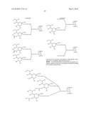 GLYCOPEGYLATED FACTOR VII AND FACTOR VIIA diagram and image