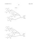 GLYCOPEGYLATED FACTOR VII AND FACTOR VIIA diagram and image