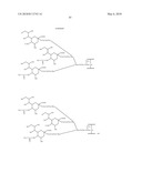 GLYCOPEGYLATED FACTOR VII AND FACTOR VIIA diagram and image