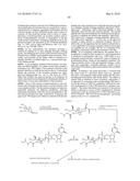 GLYCOPEGYLATED FACTOR VII AND FACTOR VIIA diagram and image