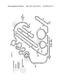 GLYCOPEGYLATED FACTOR VII AND FACTOR VIIA diagram and image