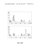 GLYCOPEGYLATED FACTOR VII AND FACTOR VIIA diagram and image