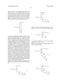 GLYCOPEGYLATED FACTOR VII AND FACTOR VIIA diagram and image