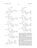 GLYCOPEGYLATED FACTOR VII AND FACTOR VIIA diagram and image