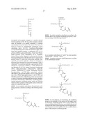 GLYCOPEGYLATED FACTOR VII AND FACTOR VIIA diagram and image