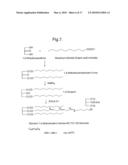 Treatment of neurodegenerative conditions diagram and image