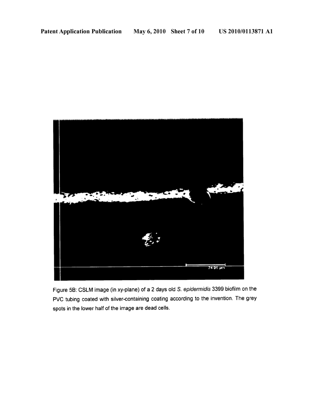 ANTIMICROBIAL COATING - diagram, schematic, and image 08