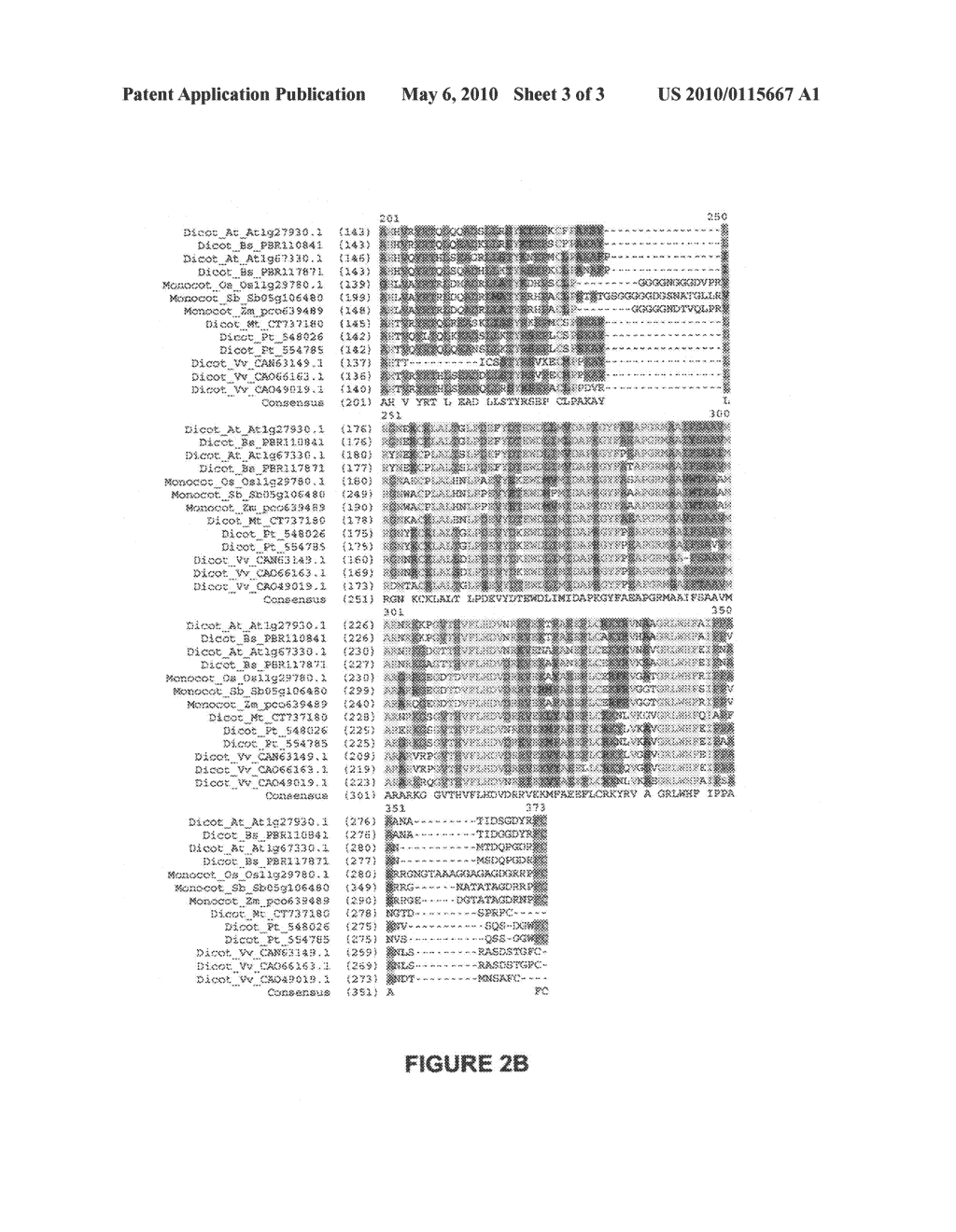 Novel At1g67330 gene involved in altered nitrate uptake efficiency - diagram, schematic, and image 04