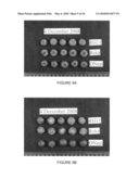 Blueberry variety named  sunset blue  diagram and image