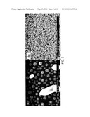 InGaN Columnar Nano-Heterostructures For Solar Cells diagram and image