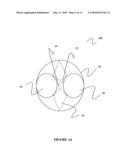 Dual chamber bottle and method of manufacturing the same diagram and image