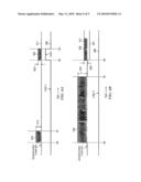 Blanking Techniques in Receivers diagram and image