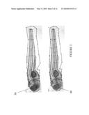 AUTOMATED SYSTEMS AND METHODS FOR SCREENING ZEBRAFISH diagram and image