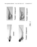 AUTOMATED SYSTEMS AND METHODS FOR SCREENING ZEBRAFISH diagram and image