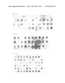 SPECIFIC AND HIGH AFFINITY BINDING PROTEINS COMPRISING MODIFIED SH3 DOMAINS OF FYN KINASE diagram and image