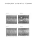 SPECIFIC AND HIGH AFFINITY BINDING PROTEINS COMPRISING MODIFIED SH3 DOMAINS OF FYN KINASE diagram and image