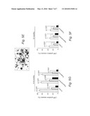 SOLUBLE LOW-DENSITY LIPOPROTEIN RECEPTOR RELATED PROTEIN BINDS DIRECTLY TO ALZHEIMER S AMYLOID-BETA PEPTIDE diagram and image