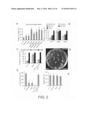 Use of the conserved Drosophila NPFR1 system for uncovering interacting genes and pathways important in nociception and stress response diagram and image