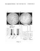 Use of the conserved Drosophila NPFR1 system for uncovering interacting genes and pathways important in nociception and stress response diagram and image