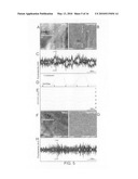 Use of the conserved Drosophila NPFR1 system for uncovering interacting genes and pathways important in nociception and stress response diagram and image