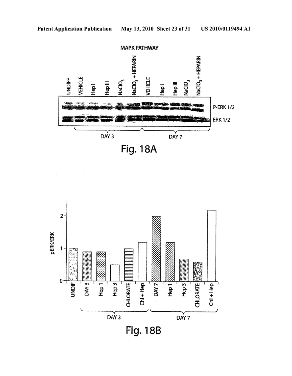 METHODS AND COMPOSITIONS RELATED TO MODULATING THE EXTRACELLULAR STEM CELL ENVIRONMENT - diagram, schematic, and image 24