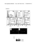 Antibodies Against Cancer diagram and image